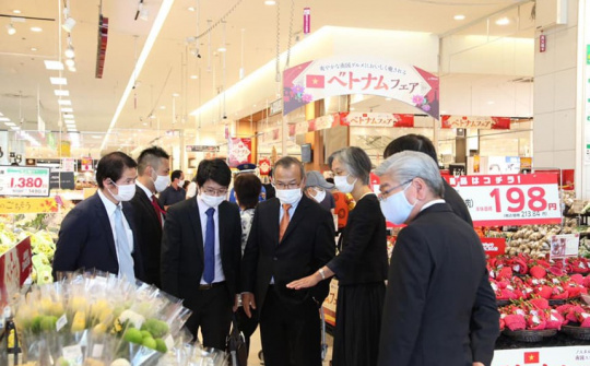 Xúc tiến thương mại hỗ trợ tiêu thụ nông sản trong và ngoài nước