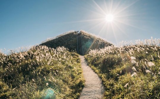 Về Quảng Ninh ngắm “thiên đường” cỏ lau trắng Bình Liêu