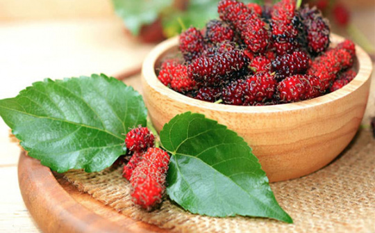 Đánh giá hiệu quả của enzyme pectinase đến quá trình thu hồi dịch nho - dâu tằm