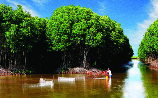 Cà Mau tổ chức cuộc thi viết “Góc nhìn về du lịch Cà Mau năm 2020”