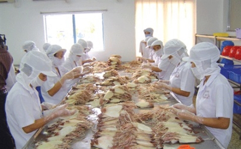 Xuất khẩu mực, bạch tuộc sang Trung Quốc tăng 53%