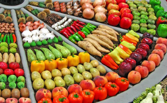 Hà Lan - Cửa ngõ xuất khẩu rau củ quả Việt Nam sang EU