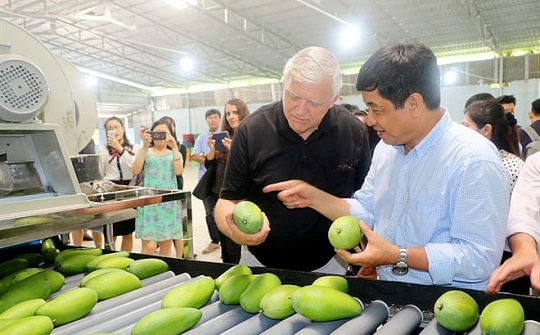 Xuất khẩu rau quả đạt 2,5 tỷ USD trong 9 tháng đầu năm