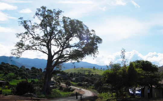 Lạ lùng “Nghĩa địa treo” ở Kon Tum