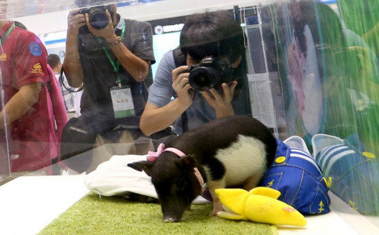 Cơ sở khảo nghiệm sinh vật biến đổi gen không phải chứng minh năng lực