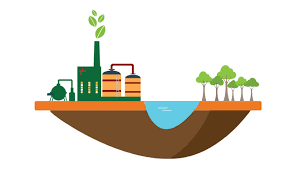Kinh tế tuần hoàn - Những bước đi ban đầu cho một tương lai dài
