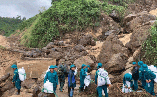 Thủ tướng Nguyễn Xuân Phúc: Xử lý nghiêm các trường hợp vi phạm phá rừng