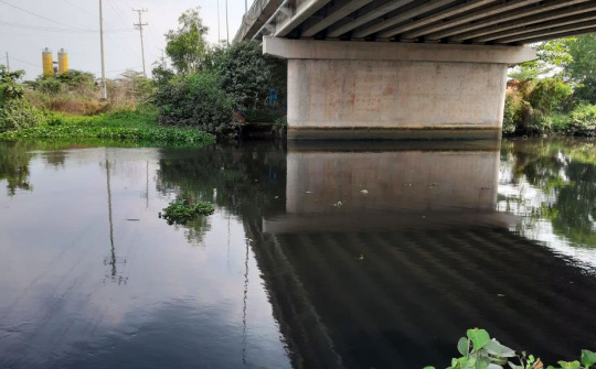 Assessment of the quality of surface water of An Ha Canal, Duc Hoa District, Long An Province