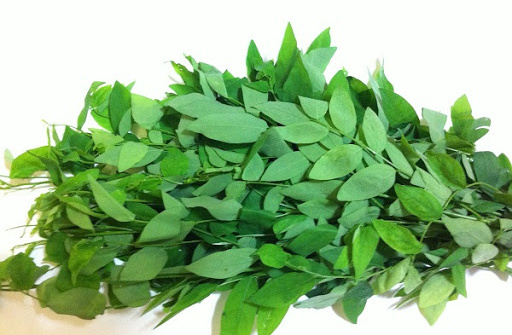 Ảnh hưởng của điều kiện trích ly hỗ trợ vi sóng đến hàm lượng polyphenol và hoạt tính kháng oxy hóa của dịch trích lá bồ ngót (Sauropus androgynus (L.) Merr)