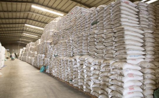 Ban hành qui chuẩn kĩ thật đối với gạo tẻ dự trữ quốc gia