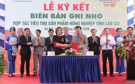 Lần đầu ra mắt, quýt Mường Khương đã chinh phục được người dân Thủ đô