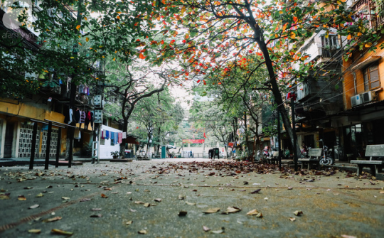 Thời tiết 24-11: Không khí lạnh tràn về, miền Bắc nhiệt độ giảm nhẹ