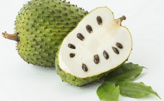 Khảo sát ảnh hưởng nồng độ đồng dung môi (ethanol) đến quá trình trích ly thu nhận polyphenol từ vỏ quả mãng cầu ta (Annona squamosa L.) bằng CO2 siêu tới hạn