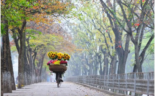 Thời tiết 5-11: Miền Bắc nắng nhẹ, miền Trung Nam bộ vẫn có mưa to, bão số 10 suy yếu thành áp thấp nhiệt đới