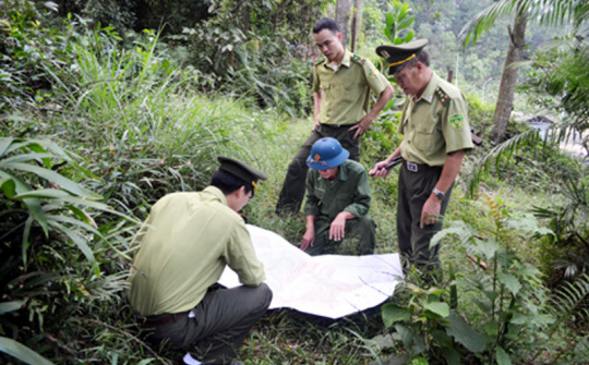 Nhiều Đại biểu tranh luận về hệ số che phủ rừng