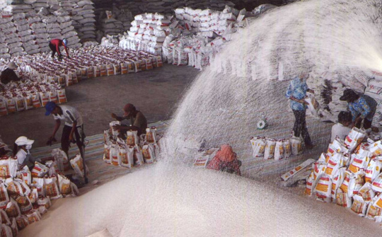 Doanh nghiệp gạo lãi lớn trong quý 3