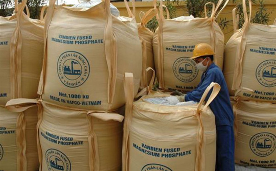 Phân bón Văn Điển mang lại hiệu quả kinh tế cao cho các nhà vườn ở Tây Nguyên