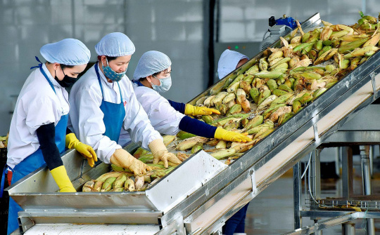 Sau EVFTA, nông - thủy sản Việt đứng trước cơ hội thị trường mới mang tên UKVFTA