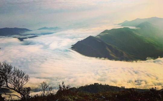 Du lịch Mộc Châu mùa đông đừng lỗi hẹn với 6 địa điểm này