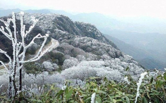 Thời tiết 16-12: Bắc bộ chìm sâu trong đợt rét đậm, rét hại, nhiệt độ tiếp tục giảm mạnh