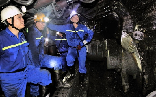 Than Vàng Danh: Tận dụng than bùn và phế phẩm chế tạo bua mìn, làm lợi 4,3 tỷ đồng/năm