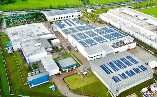 Tetra Pak được xếp hạng A cho hai hạng mục chống biến đổi khí hậu và bảo vệ rừng trên toàn cầu