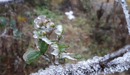 Thời tiết 20-12:  Không khí lạnh tăng cường, miền Bắc tiếp tục rét đậm