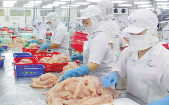 Xuất khẩu thủy sản có thể cán đích 8,6 tỉ USD trong năm 2020