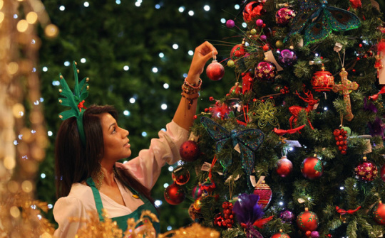 Bạn có biết sự ra đời của cây thông Noel?