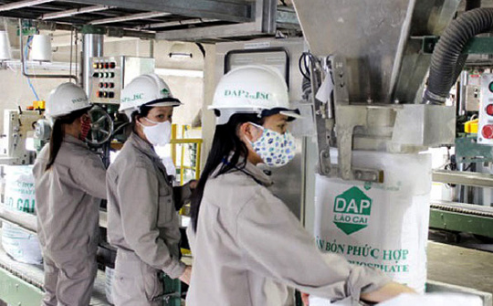 Hiệu ứng tích cực của biện pháp tự vệ đối với sản phẩm phân bón DAP trong việc bảo vệ ngành sản xuất trong nước