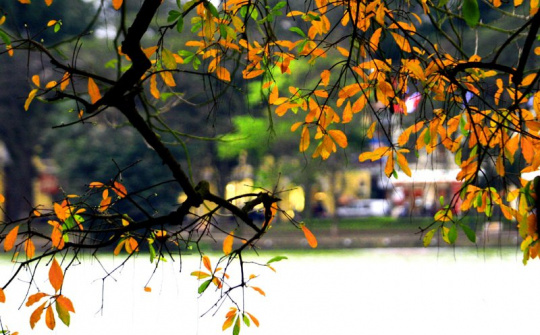 Thời tiết 26-12: Hà Nộl tiết trời ấm áp ngày cuối tuần