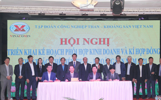 TKV: Phấn đấu đạt lợi nhuận 3.000 tỷ đồng năm 2021