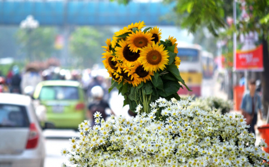 Thời tiết 27-12: Bắc bộ nền nhiệt tăng nhẹ, tiết trời ấm áp