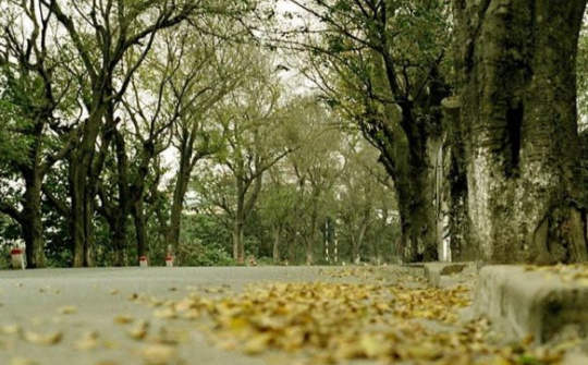 Thời tiết 28-12: Chuẩn bị đón đợt không khí lạnh mạnh, Bắc bộ trời nhiều mây có lúc có mưa nhỏ