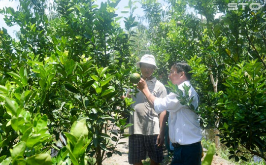 Sóc Trăng: Vùng đất tiềm năng phát triển nền nông nghiệp đa dạng, quy mô lớn