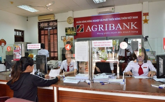 Các nhân tố ảnh hưởng đến hoạt động cho vay tín dụng tại Ngân hàng Nông nghiệp và Phát triển Nông Thôn Việt Nam - Chi nhánh huyện Củ Chi, Thành phố Hồ Chí Minh