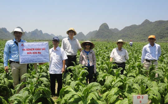Viện Thuốc lá: Hướng tới trình độ Khoa học công nghệ hàng đầu tại Đông Nam Á