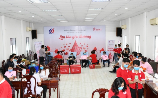 Tổng Công ty Điện lực miền Nam: Người lao động hưởng ứng "Tuần lễ hồng EVN 2020"