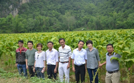 Tính bền vững và sự đổi mới trong ngành Thuốc lá