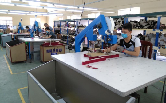 Tăng năng suất 23% nhờ đồng bộ đổi mới công nghệ và hoàn thiện hệ thống quản trị