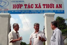 Những tồn tại, vướng mắc của quá trình thực thi pháp luật về chuyển đổi hợp tác xã sang loại hình doanh nghiệp