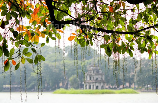 Thời tiết 17-2: Bắc bộ tiếp tục rét đậm, trời khô ráo ngày đầu tuần