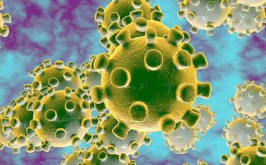 Cập nhật tình hình dịch bệnh viêm đường hô hấp cấp do virus corona đến 10h ngày 6/2/2020