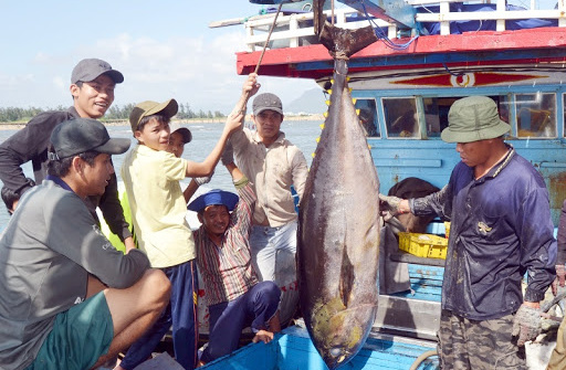 Kiểm soát chất lượng sản phẩm cá ngừ đại dương Việt Nam, nhìn từ chuỗi cung ứng sản phẩm cá ngừ Philipine