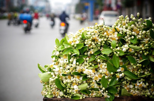 Thời tiết 24-2: Bắc bộ nồm ẩm, Nam bộ nắng gắt