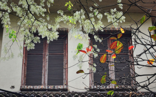 Thời tiết 25-2: Bắc bộ duy trì tiết trời nắng ấm