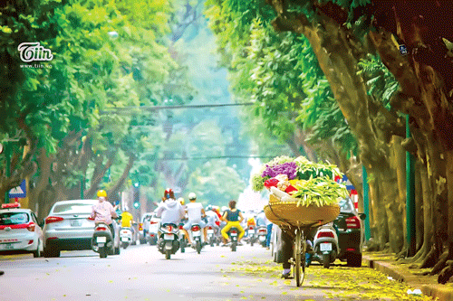 Thời tiết 26-2: Miền Bắc nắng đẹp, nền nhiệt tăng