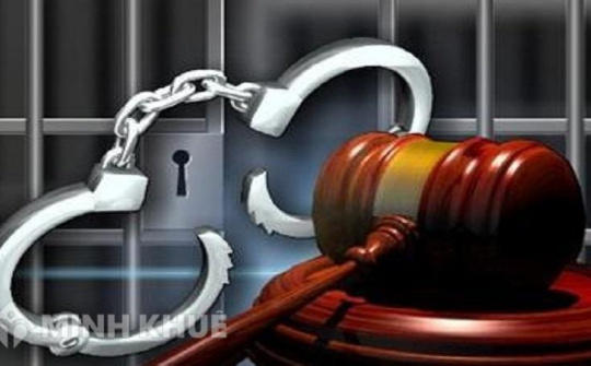 Trách nhiệm hình sự đối với pháp nhân theo pháp luật hình sự Việt Nam - Một số vấn đề cần hoàn thiện