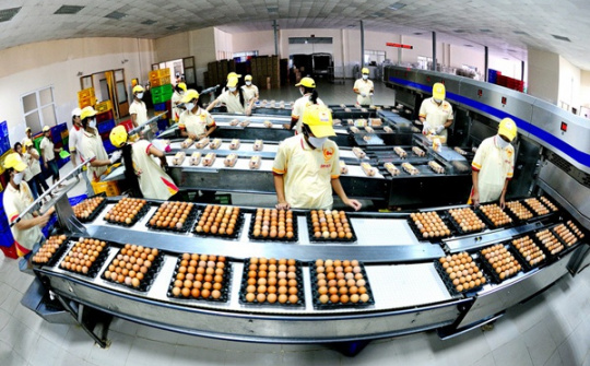 Chính thức công bố hạn ngạch thuế quan nhập khẩu muối, trứng gia cầm năm 2020