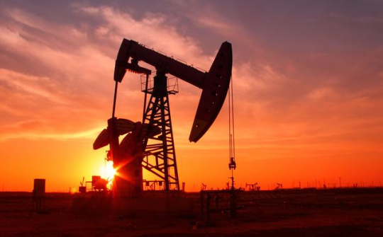 OPEC+ có thể cắt giảm sản lượng khai thác hơn nữa để hỗ trợ giá dầu thô